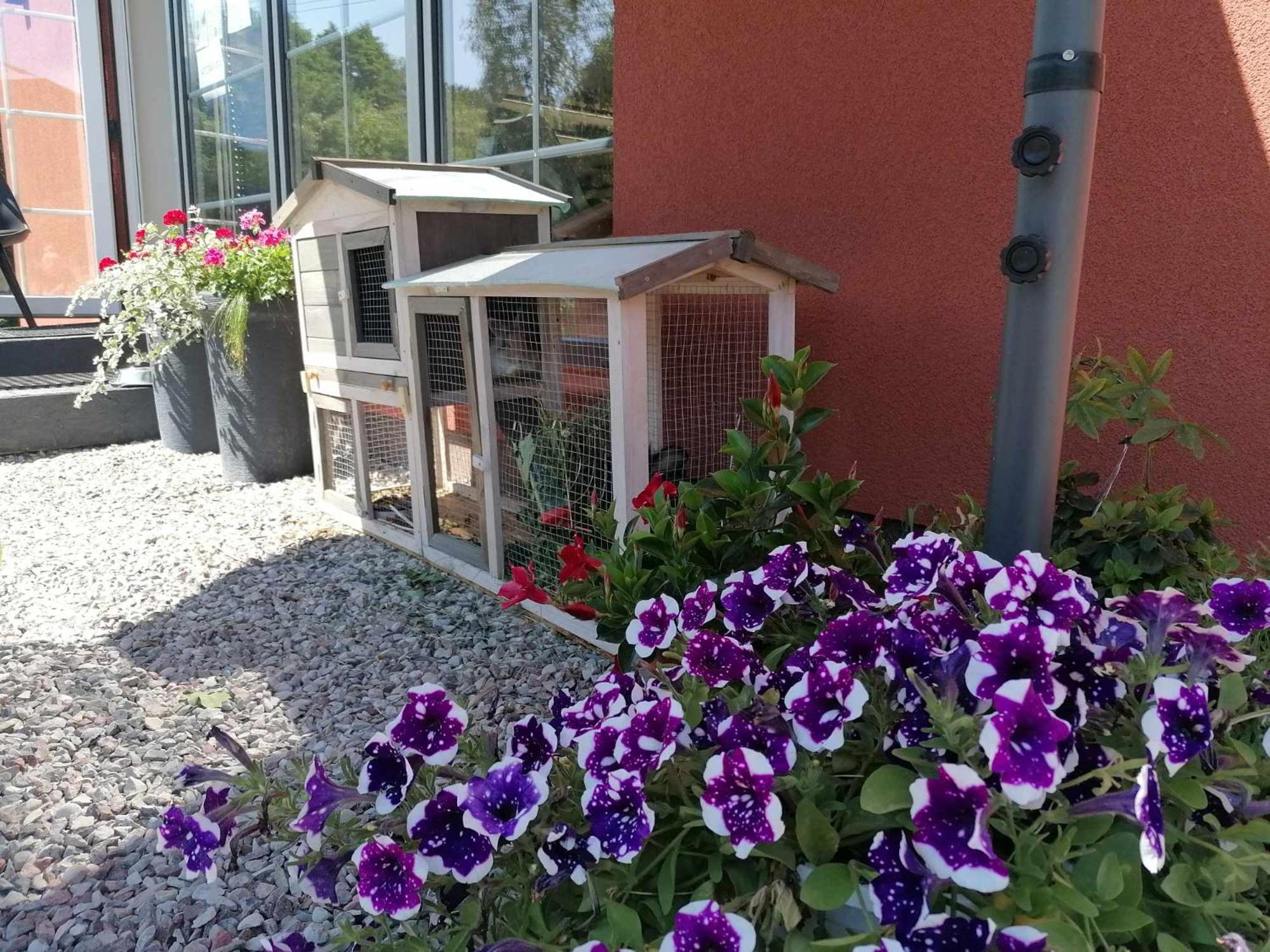Gamtos Slenis Kaimo Turizmo Sodyba Bardinai Buitenkant foto